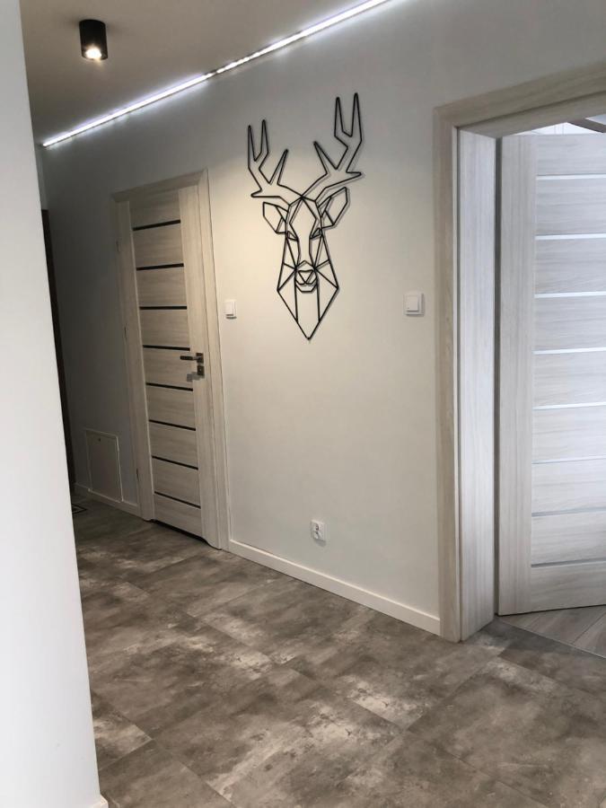Apartament Happiness Jelenia Góra Buitenkant foto
